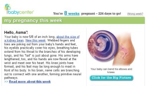 pregnancy-8-weeks